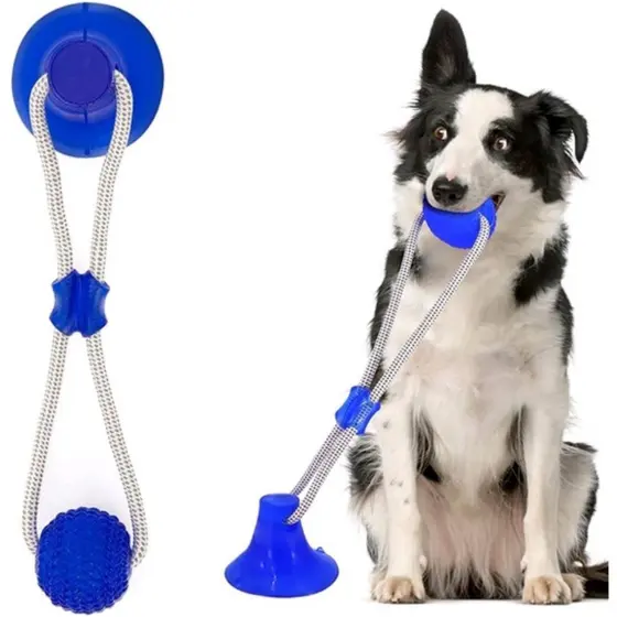 Interativo- Brinquedo Mordedor Pet Limpa Dentes- Gruda no Chão com Ventosa- Cabo de Guerra