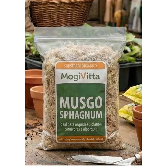 Musgo Sphagnum Substrato Substrato Drenante Suculentas Orquídeas Samanbaias Plantas em Geral