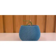 Vaso Suculenta mini vaso de suculenta Design Moderno