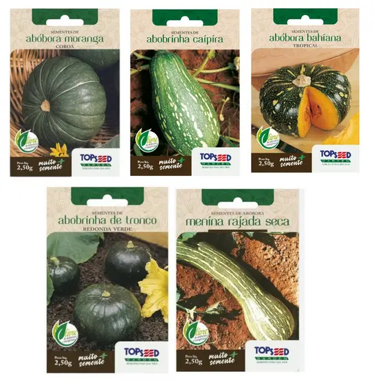 Kit Sementes De Abobora 5 Variedades,Moranga,Caipira,Bahiana,abobrinha de tronco e Rajada Seca