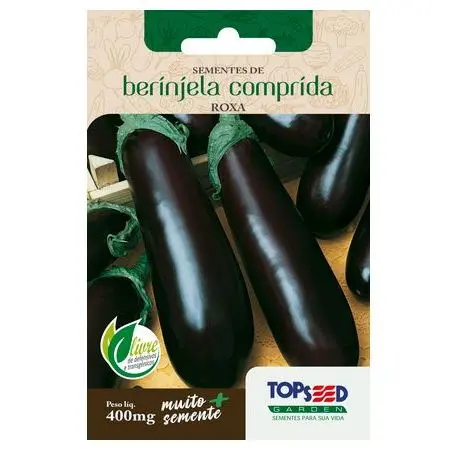 Sementes da Berinjela Roxa Para Hortas