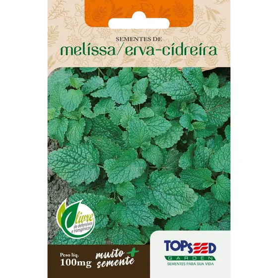 Sementes da Melissa Ideal Para Vasos