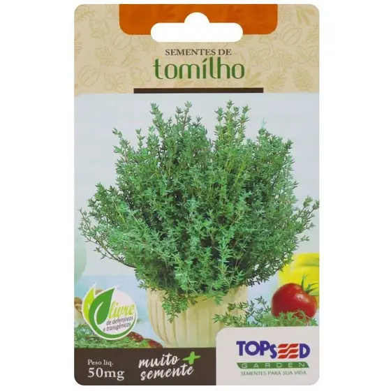 Sementes Do Tomilho Ideal Para Vasos