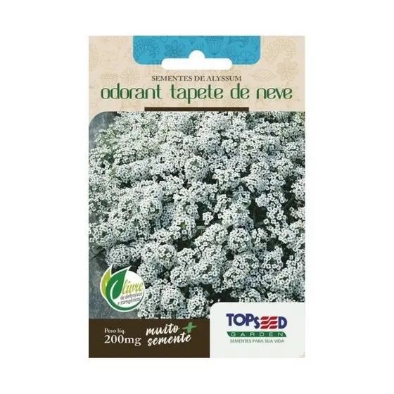 Sementes Do Alyssum Tapete de Neve