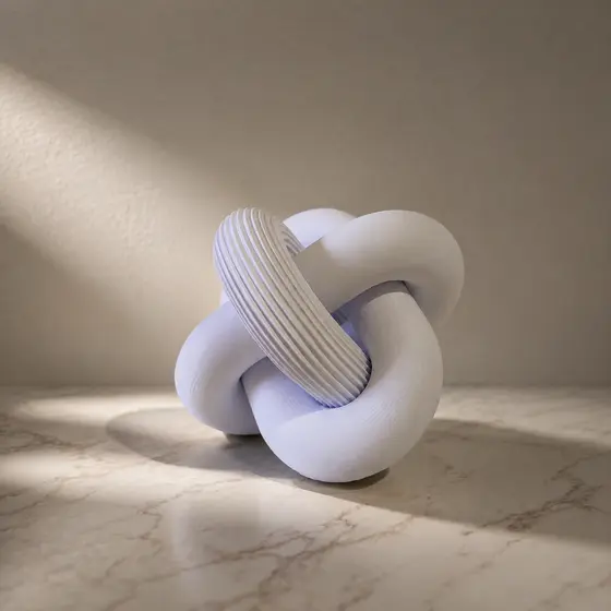 Estátua elos nó entrelaçado corrente abstrato estante decorativo moderno 3D escultura sala