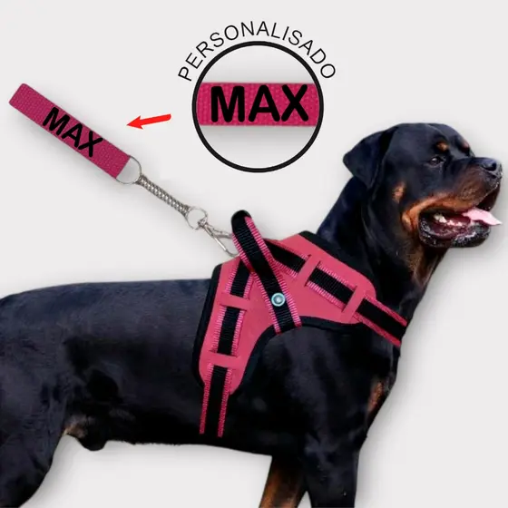 coleira Guia para cachorro nome personalizado coleira peitoral conforto peiteira sistema amortecedor impacto regulage