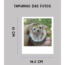 Foto decoração Alta qualidade tamanho grande - Sem legendas foto unitária