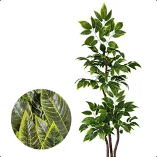 Croton Artificial Brasileirinho 130cm a 190cm Sem Vaso Decoração