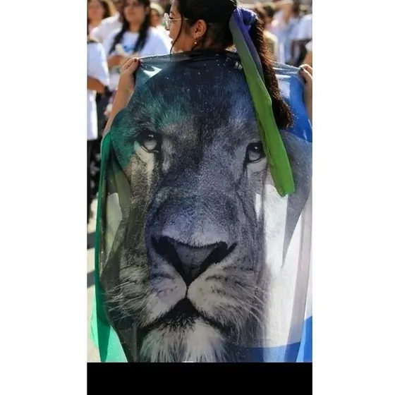 Bandeira leão Brasil Israel