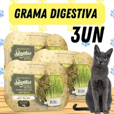 3UN Grama Gato Auxilia Digestão Pet Elimina Toxinas Digestive Grass Ipet 50g