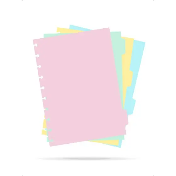 Kit 4 Divisórias Caderno de Disco B5 Escolar Universitário