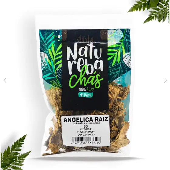 Angélica Raiz Natureba Folha