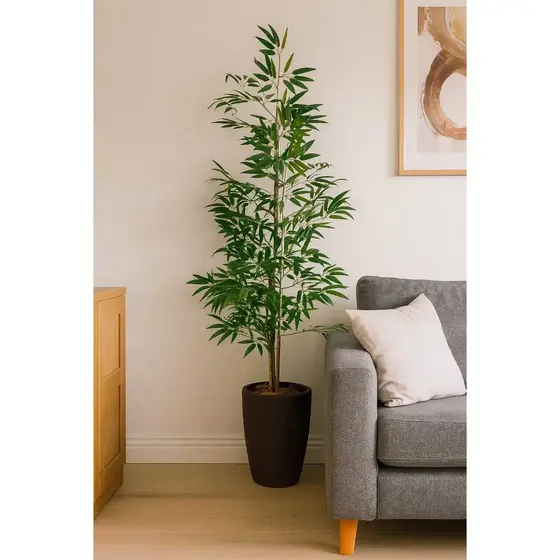 Árvore Bambu Da Sorte Vaso Grande Decorativo Sala