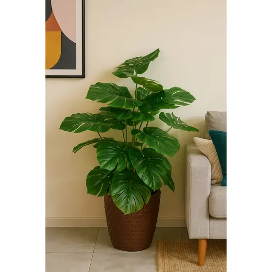 Planta Costela De Adão Arranjo Sala Escritório + Vaso Grande