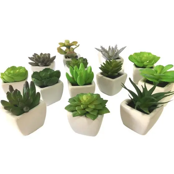 Kit 6 Mini Suculentas Artificiais com Vaso Cerâmica Branco Plantas Decorativas para Sala Escritório e Lembrancinhas