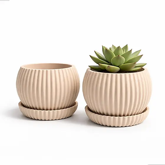 Vaso Suculenta 8cm Com Prato Decorativo para Plantas Naturais Moderno Plastico Pequeno Minimalista