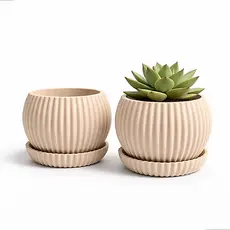Vaso para Suculenta 8cm com Prato Coletor Canelado Pequeno Decorativo em Plastico Resistente