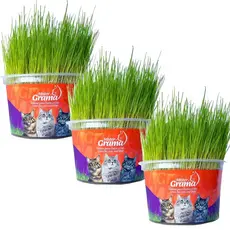 Graminha Para Gatos Elimina Bola De Pelo Kit Com 3 UN