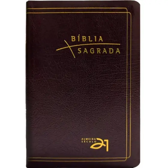 Bíblia Sagrada | A21 | Referencias Cruzadas | Letra Normal | Couro | Bordo
