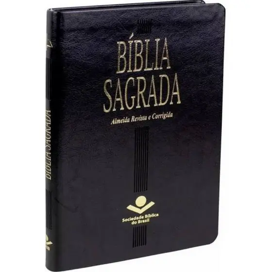 Bíblia Sagrada Slim ARC | Letra Normal | Couro | Preta
