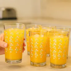 Jogo de Copos de Vidro Long Drink Flores 255ml 6 Peças Multiuso - Ruvolo