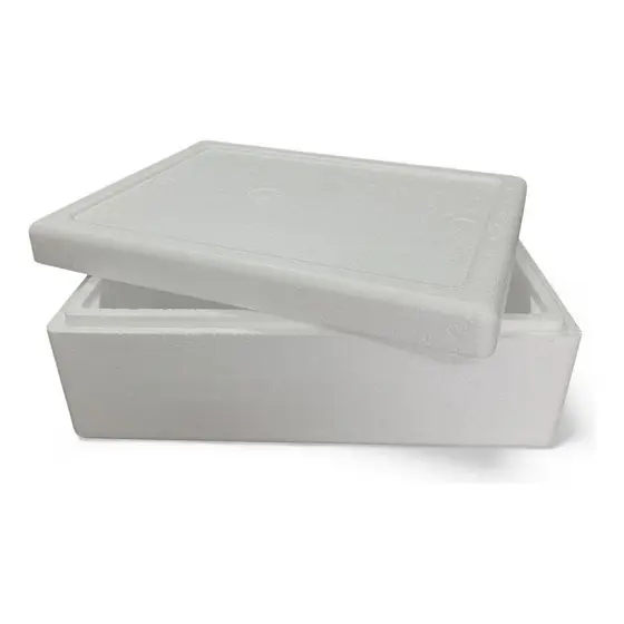 Caixa Térmica 8l Para Pescado Salgado Doce Churrasco Branco