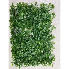 Placa de buxinho 20x30 unidade
