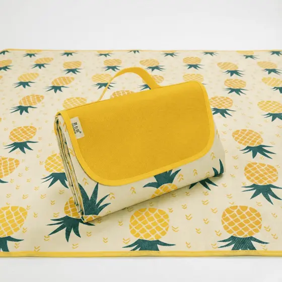 Tapete Para Picnic Praia Impermeável Envio Imediata