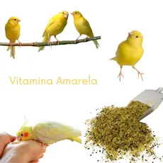 Vitamina Amarela Para Canários - 10Kg E Outros Pássaros Vitamina Nutrientes Dieta Alta Qualidade