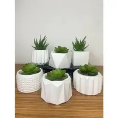 01 Vaso Decorativo, aleatório Texturizado para Suculentas, Cactus e Plantas, lindos para decorar