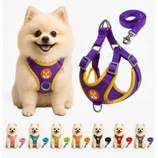 Coleira Cachorro E Gato, Conjunto De Guia + Coleira Colete Para Pet Pequenos E Médios Peitoral