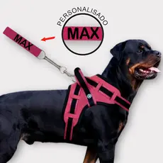coleira e Guia para cachorro nome personalizado coleira peitoral conforto peiteira sistema amortecedor impacto regulagem