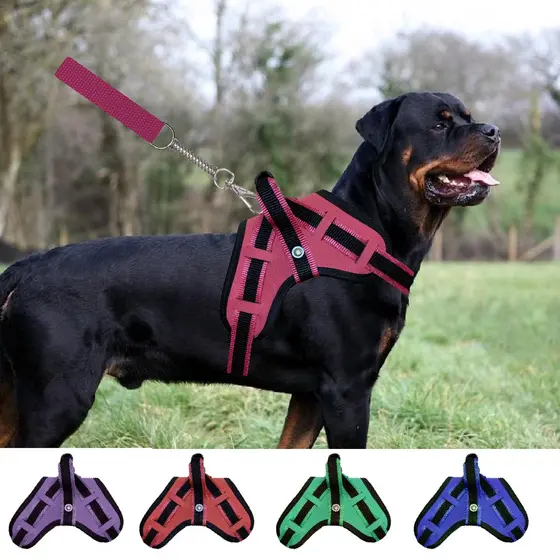 peitoral coleira cachorro grande pit bull fila rotwailler golden doberman vários tamanhos