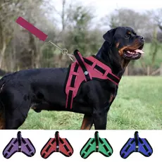 peitoral coleira cachorro grande pit bull fila rotwailler golden doberman vários tamanhos
