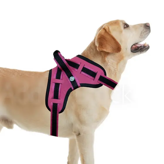 coleira peitoral  cachorro medio e grande pet
