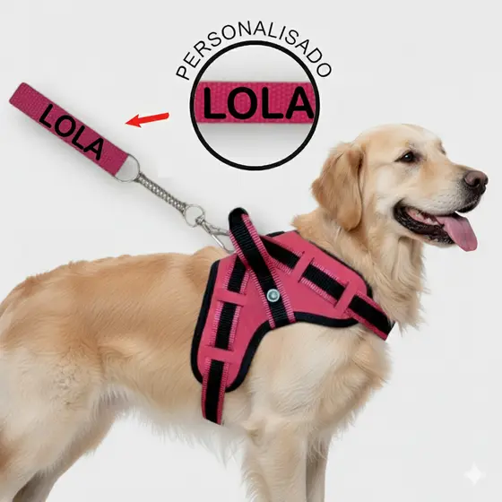 Coleira peitoral para cachorro reforçada com nome na guia cachorro de pequeno mdio e grande porte para passeios com mola