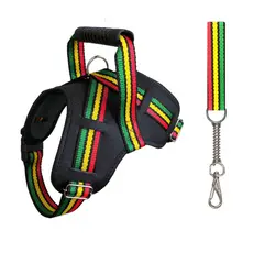 Peitoral coleira colorido para passeio cachorros de porte medio e grande reforçada com regulagens pet muito resistente labrador pitbull pastor alemão fila  guia super bob marley