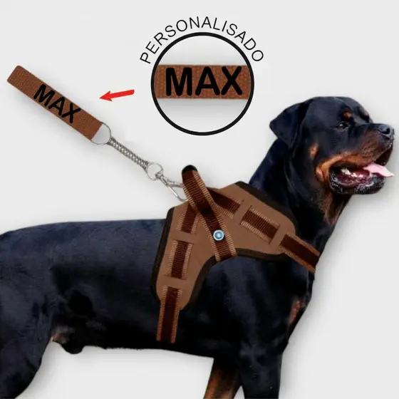 Coleira Identificação Pet Personalizada com Nome