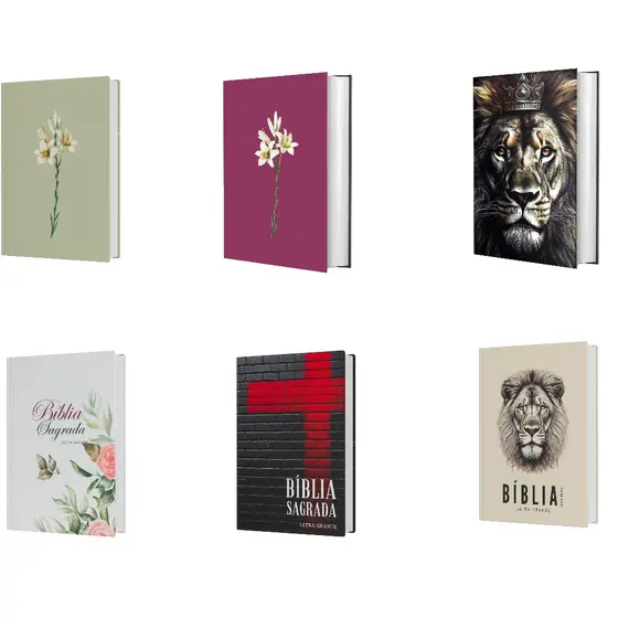 Bíblia NVI | Letra Grande, Ideal para Leitura Diária