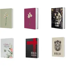 Bíblia NVI | Letra Grande, Ideal para Leitura Diária
