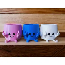 Vaso para Suculentas Dedo do Meio para Decoração de plantas e flores