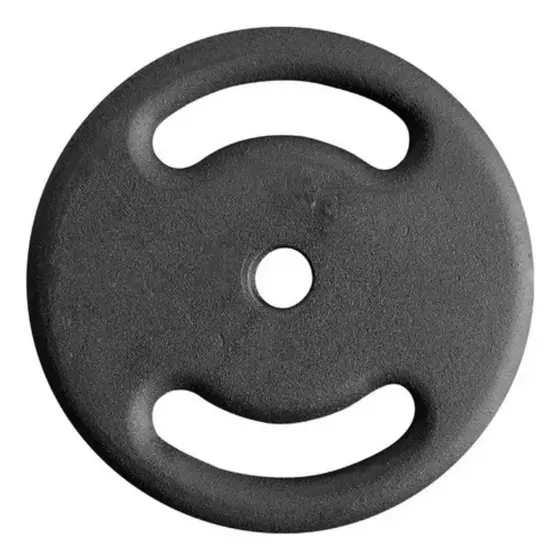 Anilha Fitness De Ferro Pintada Academia Treino - 10 Kg