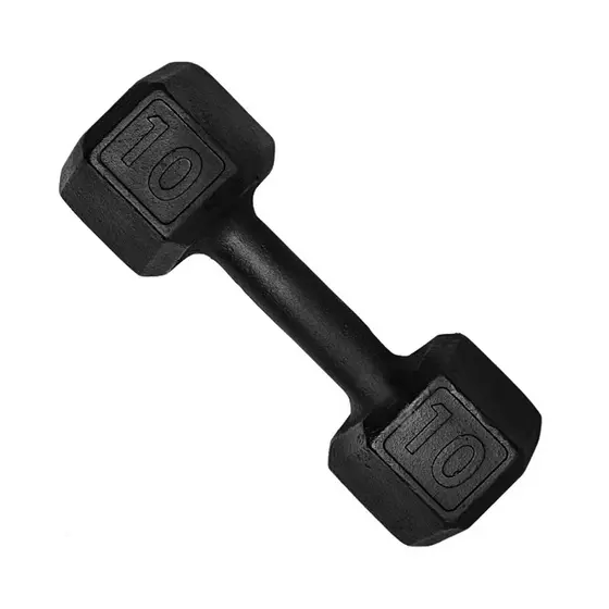 Halter Sextavado Dumbell Pintado 10kg Academia Treino Ferro