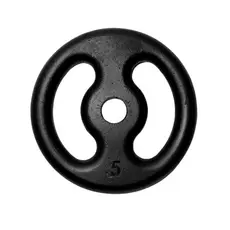 Anilha Fitness Ferro Pintada Academia Musculação Treino 5Kg