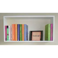 Nicho Grande Profundo 50 x 30 x 20 Livro Coleções Sala Quarto Banheiro Branco Envio Montado
