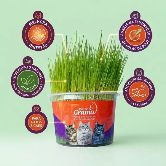 Graminha para Gatos - Mister Grama – Saúde Digestiva e Controle de Bolas de Pelo