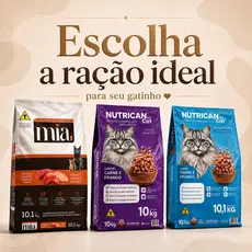 Ração Para Gatos 10Kg Castrado Adulto Filhote Todas as Raças