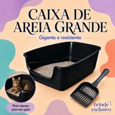 Caixa De Areia Grande + Pá Higiênica Com Borda Alta Para Gato