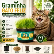 Graminha para Gatos Capim Petisco Anti Bola de Pelo Ajuda Digestão Fácil de Plantar Natural Pet