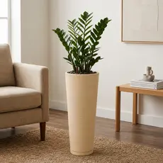 Vaso Para Plantas Polietileno Coluna Ibiza Alta Com Prato Decoração Sala Jardim Para Plantas Artificial Natural